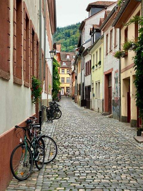 Heidelberg Häuser, Heidelberg Haus kaufen