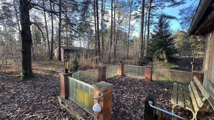 1123-2024-12-15 054.jpg