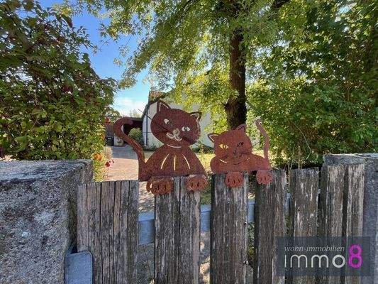 Wir freuen uns auf euch !