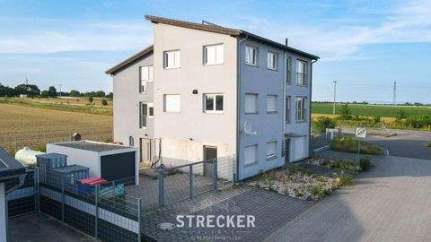 Lingenfeld Büros, Büroräume, Büroflächen 