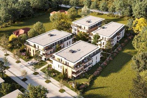 Wiener Neustadt Wohnungen, Wiener Neustadt Wohnung kaufen