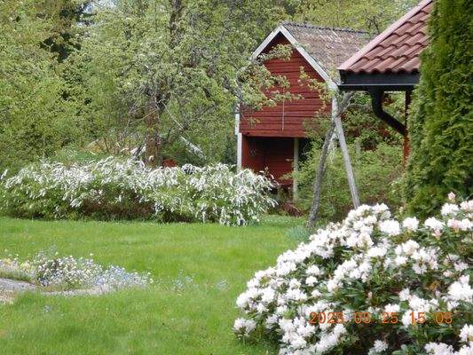 Garten mit Gästehaus