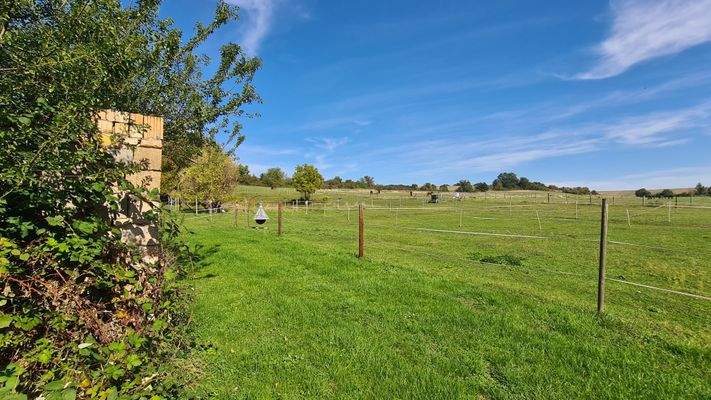 14 Blick auf die Nachbargrundstücke.jpg