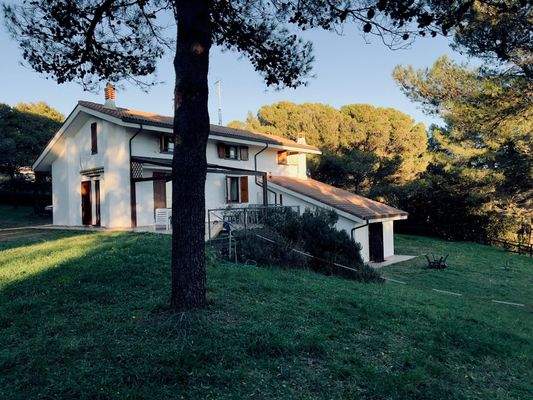 PHOTO-2024-12-11-21-49-57 2.jpeg