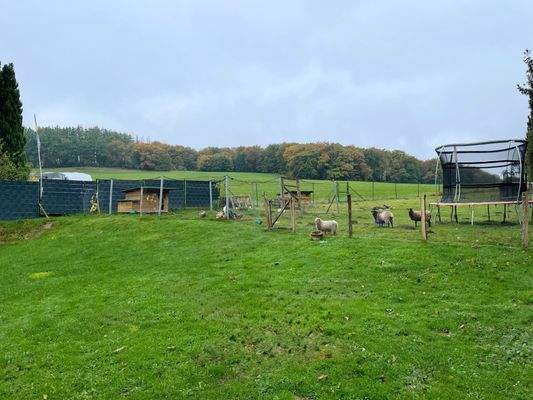 Grünfläche und Garten