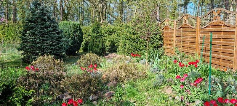 Hinterer Garten im April