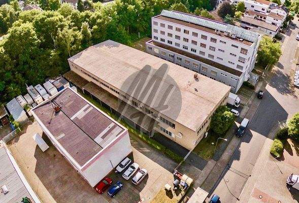 INFOS UNTER: 06171-586000