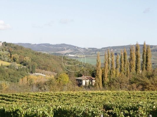 Charmantes Anwesen | Castellina in Chianti