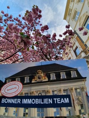 Bonner immobilienteam.jpg