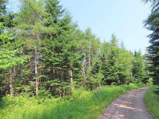 Cape Breton - Shaw Lake - 11,2 Hektar-Areal in her