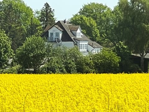 Dahme Häuser, Dahme Haus kaufen