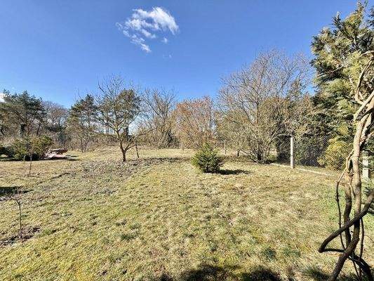 hintere Grundstücksansicht