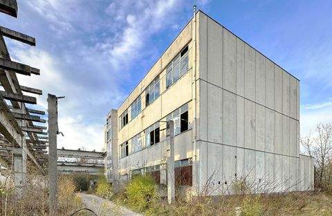 Schönebeck (Elbe) Halle, Schönebeck (Elbe) Hallenfläche