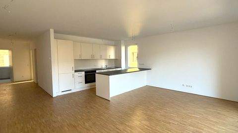 Heidelberg Wohnungen, Heidelberg Wohnung mieten