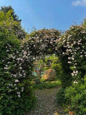 Sichtachse vom Naturgarten zum Pool