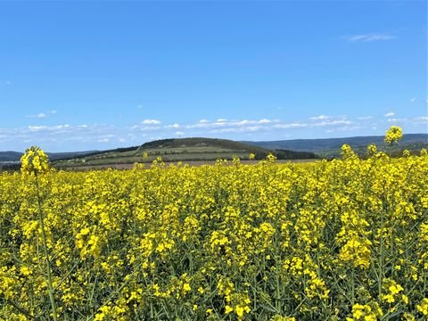 Dahlem Grundstücke, Dahlem Grundstück kaufen