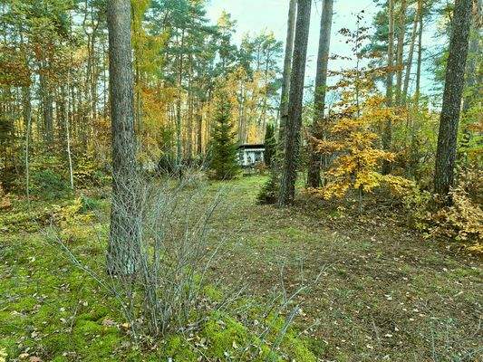 02 Weg zum Bungalow.jpg