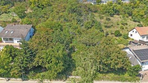 Mayen Grundstücke, Mayen Grundstück kaufen