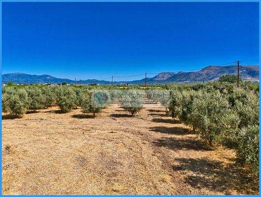 ae424d8084bd48fdbc793e91fafdcb2d-original