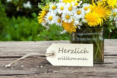 Borna Wohnungen, Borna Wohnung mieten