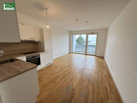 Wiener Neustadt Wohnungen, Wiener Neustadt Wohnung mieten