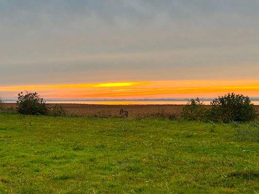 Abendsonne in Nisdorf.jpg