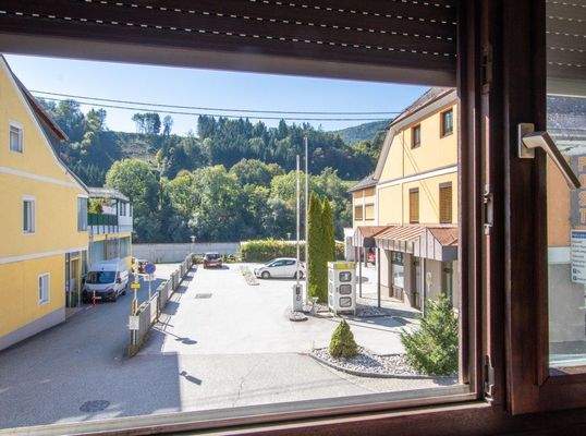 Fenster Wohnzimmer OG1