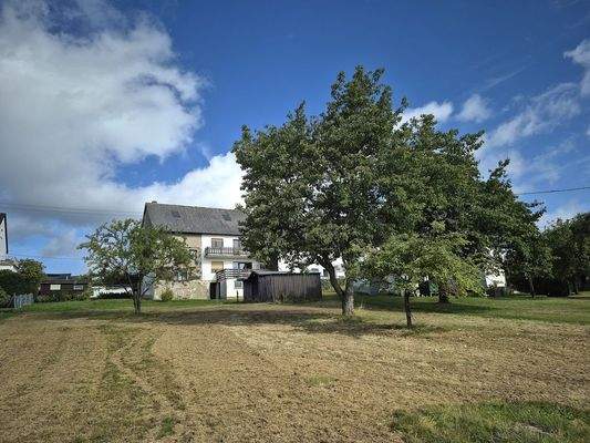 großes Wiesengrundstück