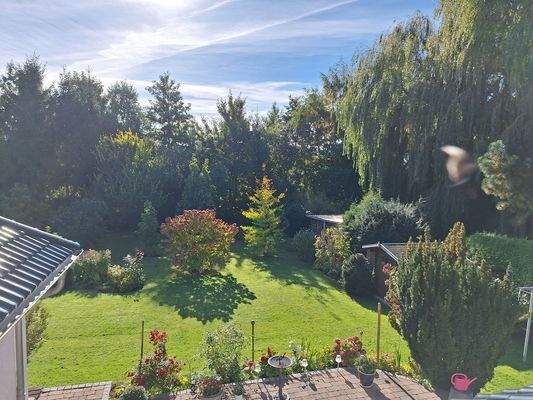 Ausblick Grundstück