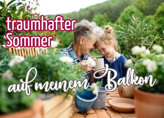 traumhafter Sommer auf meinem Balkon