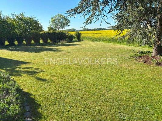 Herrliche Feldrandlage