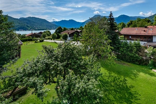 Blick DG