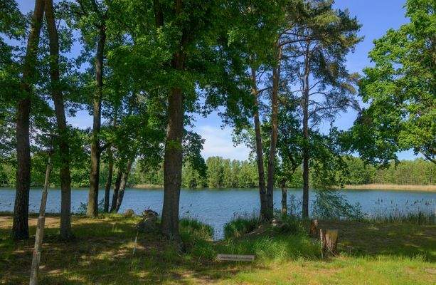 Natur Campingplatz - Seeblick