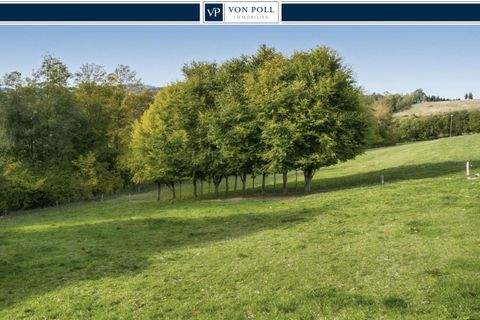 Olsberg / Wiemeringhausen Grundstücke, Olsberg / Wiemeringhausen Grundstück kaufen