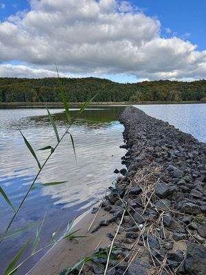 Elbe 5 Gehminuten entfernt