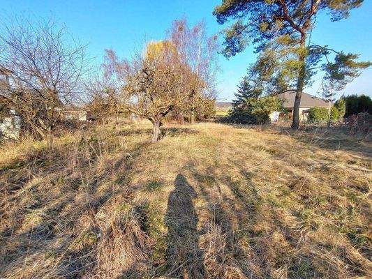 Blick auf das Wohngrundstück