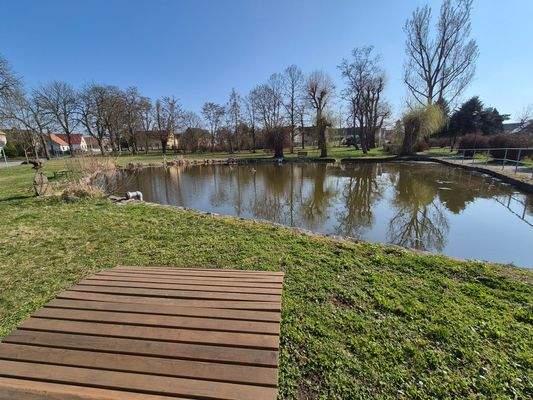 Dorfteich in der Nähe
