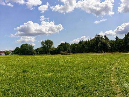 Baugrundstück ideal für Bauträger/Investoren