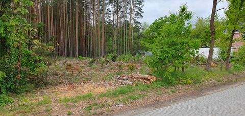 Storkow (Mark) Grundstücke, Storkow (Mark) Grundstück kaufen