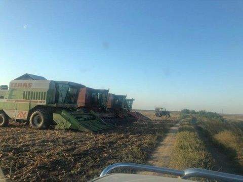 Gurahont Häuser, Gurahont Haus kaufen