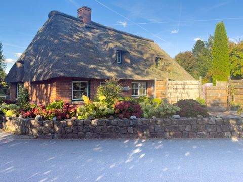 Hattstedt Häuser, Hattstedt Haus kaufen