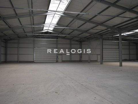 Wolnzach Halle, Wolnzach Hallenfläche