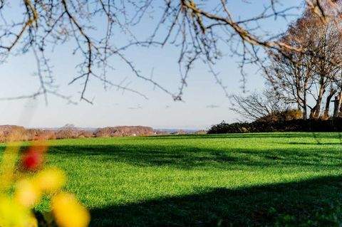 Steinberg Häuser, Steinberg Haus kaufen
