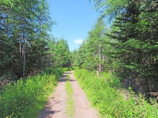 Cape Breton - Wunderschönes 11-Hektar-Areal mit 23