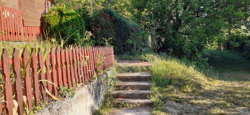 20240813_071843 (2).jpg