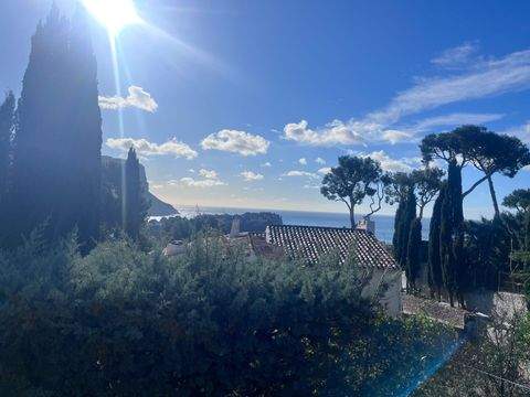 CASSIS Häuser, CASSIS Haus kaufen