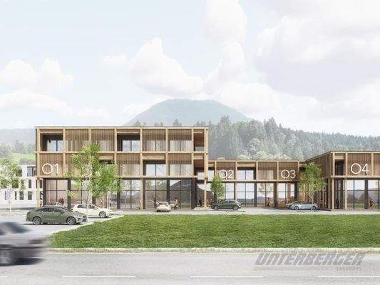 Ansicht Habachpark - Inserat