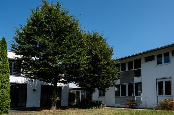 _DSF6790.jpg