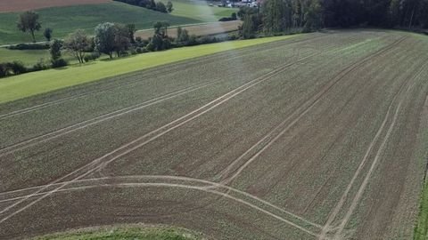 Eching Bauernhöfe, Landwirtschaft, Eching Forstwirtschaft