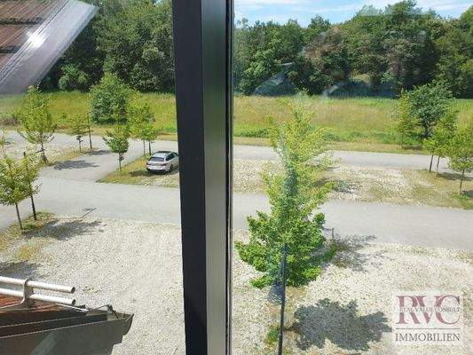 20240617_111853_resized